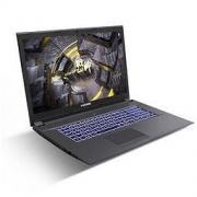 Hasee 神舟 战神GX8-CT5DT 17.3英寸游戏本（i5-9400、16GB、1TB、RTX2060）