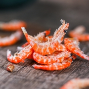 渔食客 特级无盐野生南极磷虾干 500g