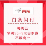 促销活动：京东 白条闪付