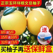 齐尚 浙江台州 玉环文旦柚2.5斤