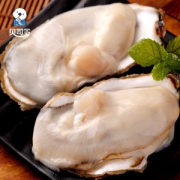男人的加油站  贝司令 乳山牡蛎鲜活生蚝 5斤