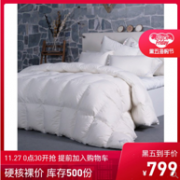 神价格、空客头等舱床品！Paradies 90%白鹅绒厚被 ANNIK