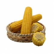 东北新鲜黄糯玉米10根*200g