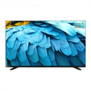 TOSHIBA 东芝 55U3800C PRO 55英寸 4K 液晶电视 低至2249元包邮（需用券）