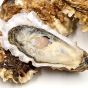 野生鲜活生蚝牡蛎 5斤