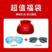 Coastal Vision 镜宴 太阳镜福袋 2副（款式随机）