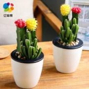 亿草集 彩色仙人掌小盆栽