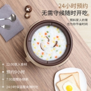 天际  紫砂陶瓷电炖锅 4L
