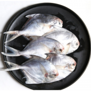 wecook 味库 冷冻野生小银鲳鱼 5斤装 49元包邮（需用券）