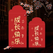 10个 创意通用利是高档红包袋 券后￥3.2