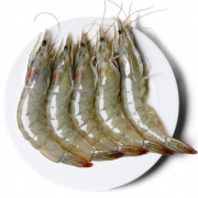 特大虾4斤厄瓜多尔新鲜速冻白虾 券后￥89