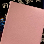 Di－LiAN  iPad mini 1/2/3/4 皮纹保护套 9.8元包邮（需用券）
