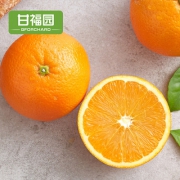 甘福园 湖南麻阳冰糖橙10斤 券后18.8元包邮