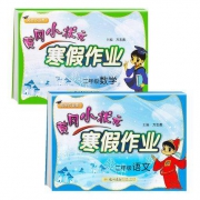 新品首降：《2020黄冈小状元寒假作业小学二年级数学+语文》2本套装