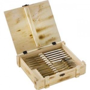 中亚Prime会员： ZWILLING 双立人 specials 牛排餐具套装 12件装