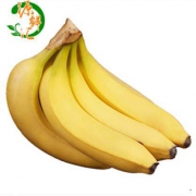 源鲜汇 高山香甜大香蕉 带箱10斤