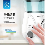 健适宝（Waterpulse） V600G 舒适型冲牙器