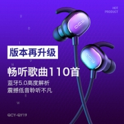 QCY QY19 入耳蓝牙耳机 黑色