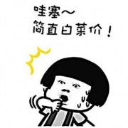 双12白菜汇总：白菜数码家电优惠剁手榜