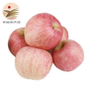 静益乐源 红富士苹果 果径70-80mm 5斤 *2件