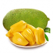 10点开始：果品康 海南三亚菠萝蜜 15-20斤