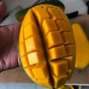 我们买过 超甜又便宜的巨无霸越南大青芒 净重8斤 单果500-1000g