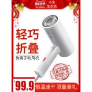 Reepro 负离子吹风机