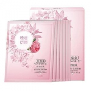 HERBORIST佰草集玫瑰面膜7片