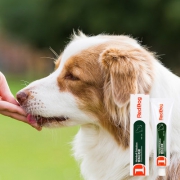 RedDog红狗 猫咪化毛膏120g 券后58元 满88元包邮