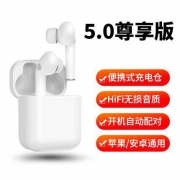 Sansui 山水 X13 真无线蓝牙耳机