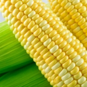 云南现摘水果玉米 带箱10斤 水果类4.8分品质靠谱