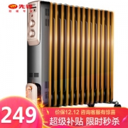 SINGFUN 先锋 DYT-Z2 13片 电热油汀