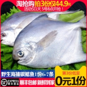 星渔 海捕野生冷冻银鲳鱼 3斤 每斤约6~7条
