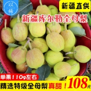 现货 正宗新疆库尔勒香梨 特级全母梨 净重9斤 单果120g 皮薄肉细无渣