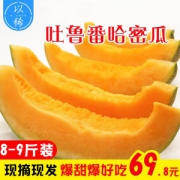 我们买过 全中国最好吃的哈密瓜 新疆火焰山西州蜜25号 2~3个/8~9斤