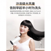 小米生态链 直白 负离子吹风机 1800W 日本万宝至电机