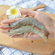 PLUS会员：猫二郎 厄瓜多尔白虾 400g*3件