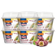 限地区：百吉福（MILKANA）法式芝士奶冻缤纷百香果味组合70g*6杯*3件