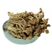 农家广昌茶树菇干货100g 11元包邮