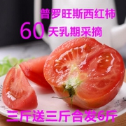 佑嘉木 自然熟普罗旺斯沙瓤西红柿 6斤
