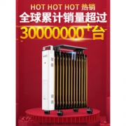 大额神券：先锋 新款 DYT-Z5 家用电热油汀13片