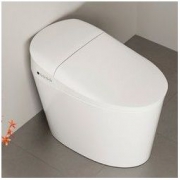 FAENZA 法恩莎卫浴 F18 即热式一体智能马桶