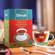 Dilmah迪尔玛 进口红茶新鲜茶叶茶包 20包 *2件 25.8元包邮（需用券）