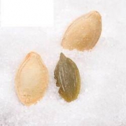 ChaCheer 洽洽  盐焗味 南瓜子500g 2袋