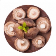 静益乐源 西峡新鲜湿香菇 400g