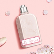 【ZC】樱花高光身体乳260g