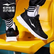 4日0点： ERKE 鸿星尔克 男鞋运动鞋 51119303182