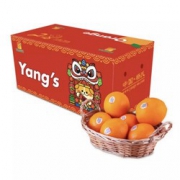 PLUS会员：YANG'S 精品赣南橙 3kg*3件 + 佳农厄瓜多尔香蕉 2kg*3件 +凑单品