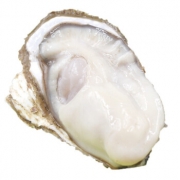 PLUS会员：董盈盈 鲜活乳山牡蛎 净重约4.5斤