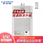 A.O.SMITH 史密斯 JSQ26-VD0 13升 燃气热水器